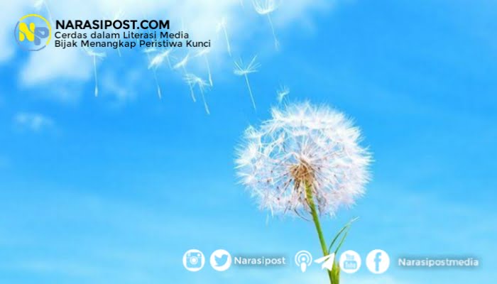 Melebihi Angin yang Berhembus - NarasiPost