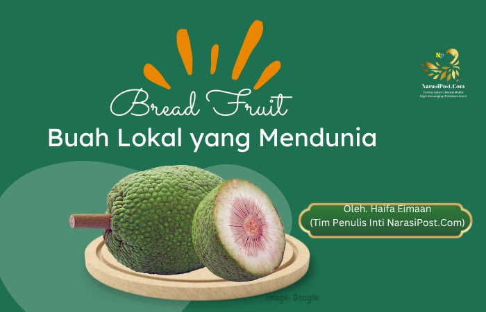 Bread Fruit, Buah Lokal yang Mendunia