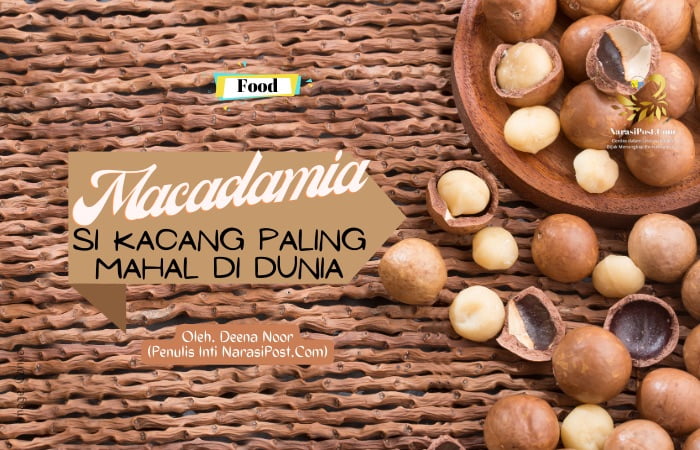Macadamia, si Kacang Paling Mahal di Dunia