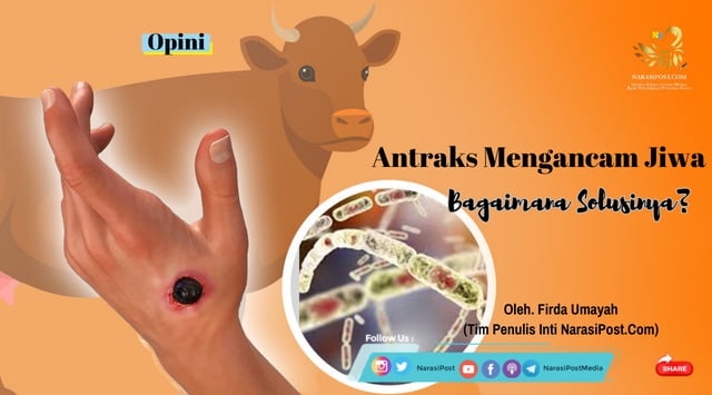 Antraks sapi