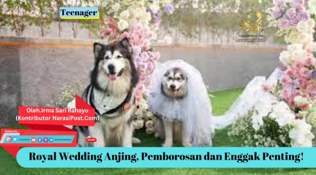 Royal Weding anjing