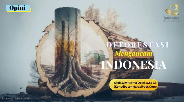 Deforestasi mengancam Indonesia