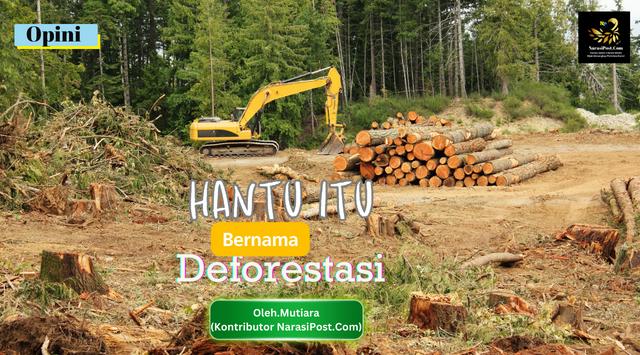 Deforestasi