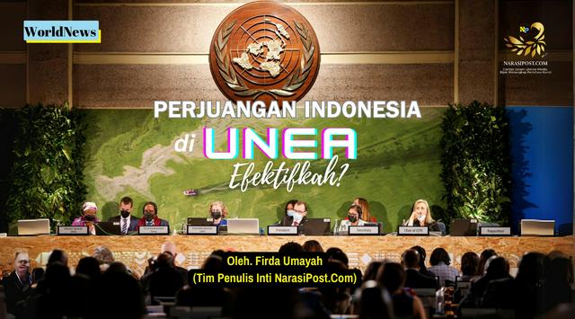 Perjuangan Indonesia di UNEA