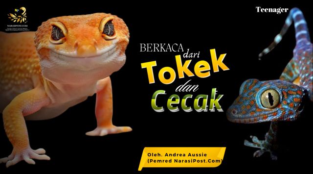 Berkaca dari Tokek dan Cecak-2