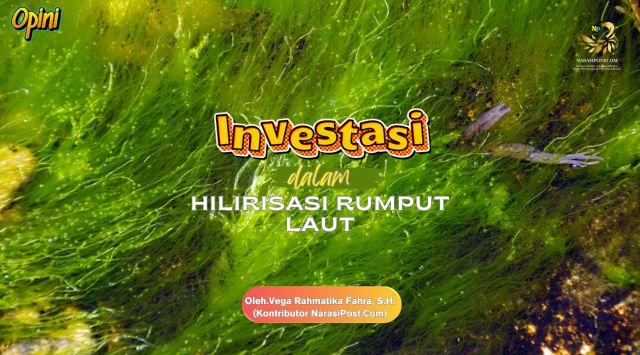 Investasi dalam Hilirisasi rumput laut