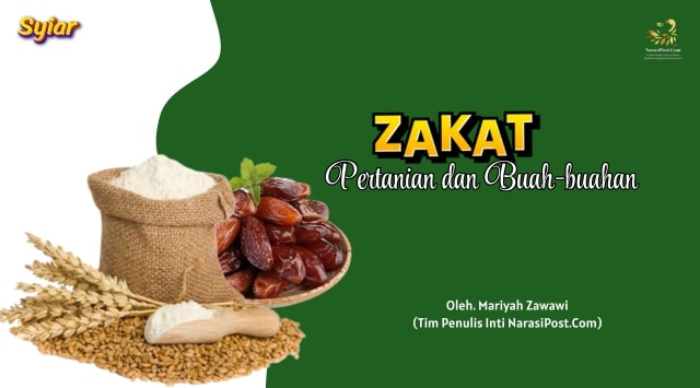 Zakat Pertanian dan Buah-buahan